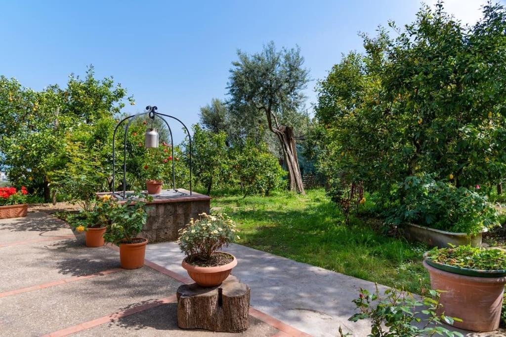 Sorrentovibes - Sea View Rooftop Apartment With Jacuzzi & Garden Luaran gambar